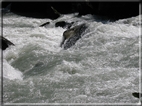 foto Cascate in Val Genova